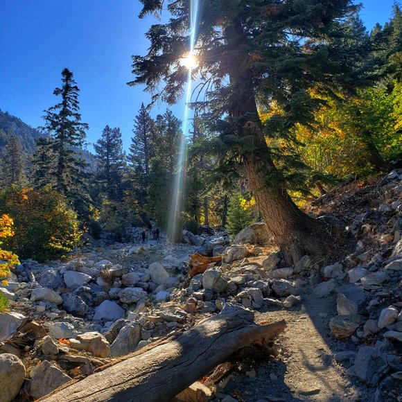 Meet your Posher, April - Picture 3 of 4